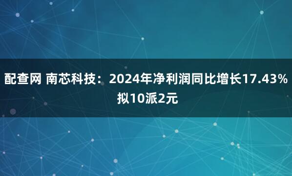 配查网 南芯科技：2024年净利润同比增长17.43% 拟10派2元