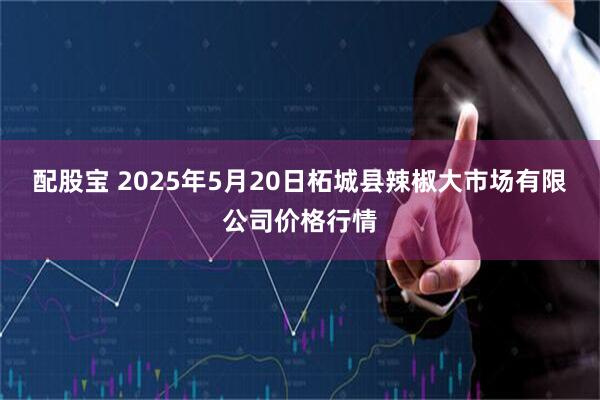 配股宝 2025年5月20日柘城县辣椒大市场有限公司价格行情