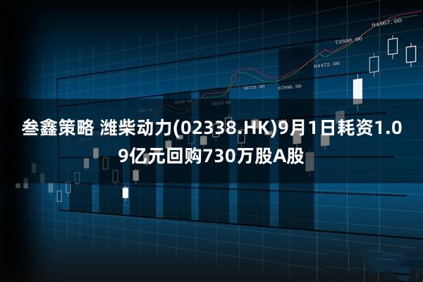 叁鑫策略 潍柴动力(02338.HK)9月1日耗资1.09亿元回购730万股A股